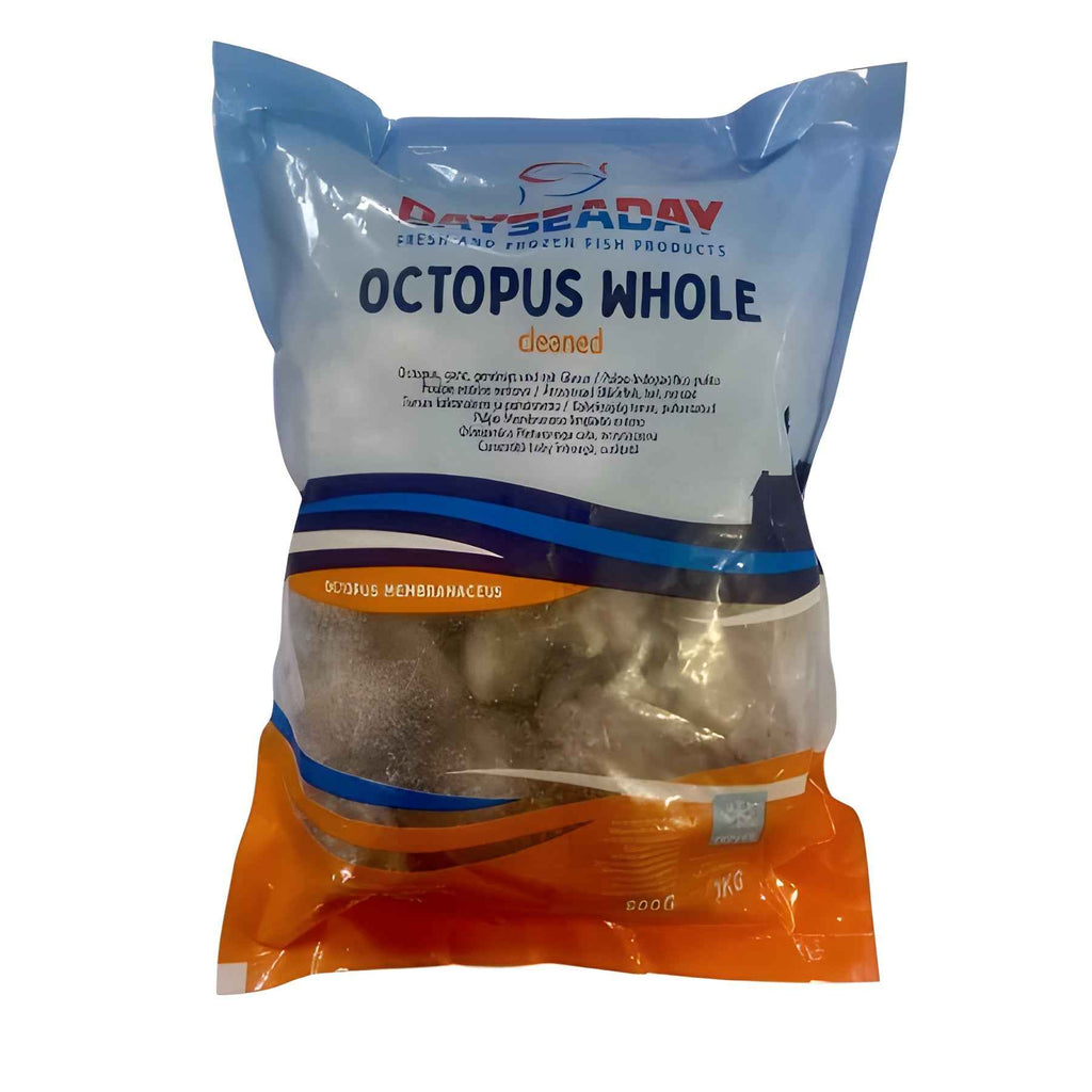 Baby Octopus